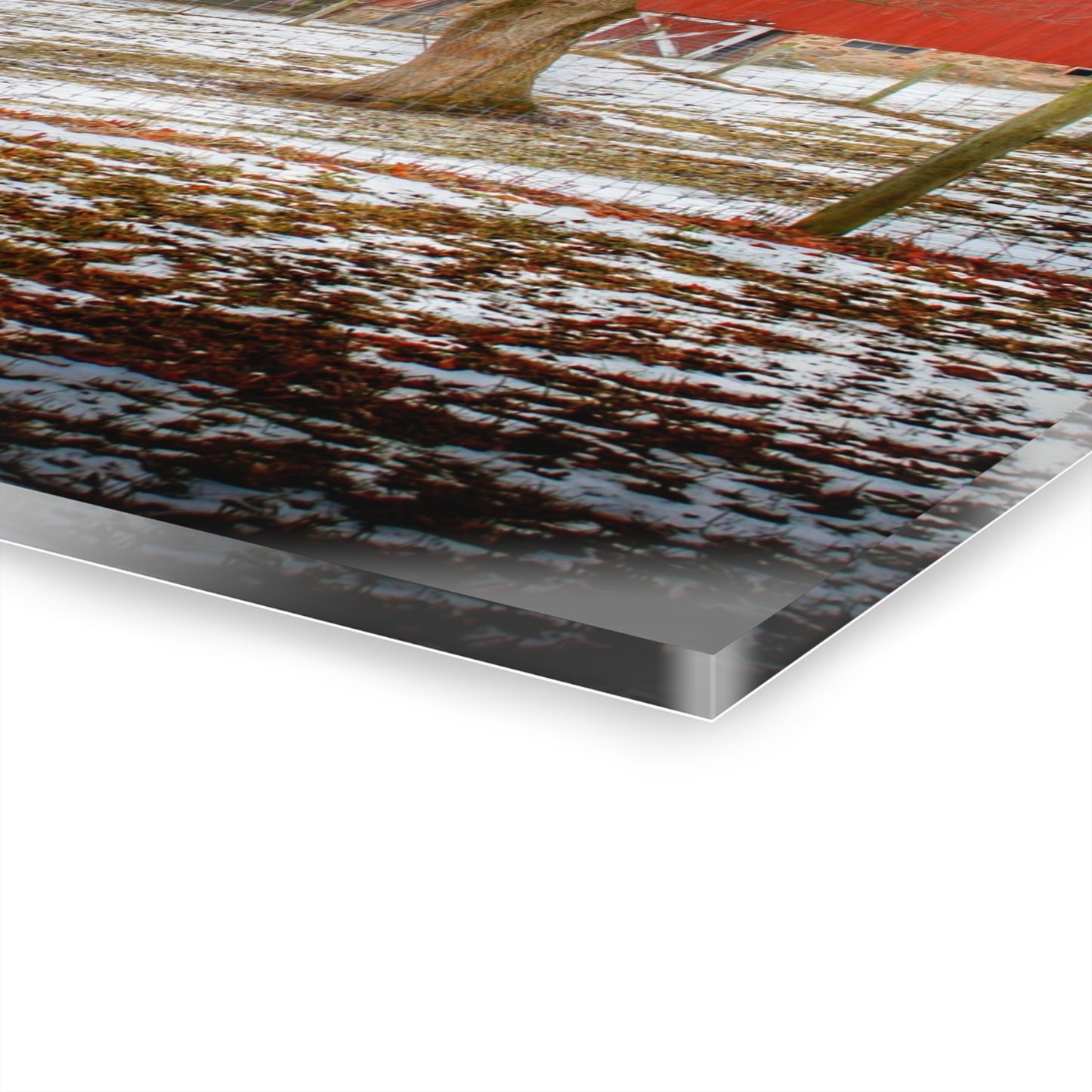 U R There Photography LeValley Road Red and Silo Rustic Farmhouse Acrylic Wall Print