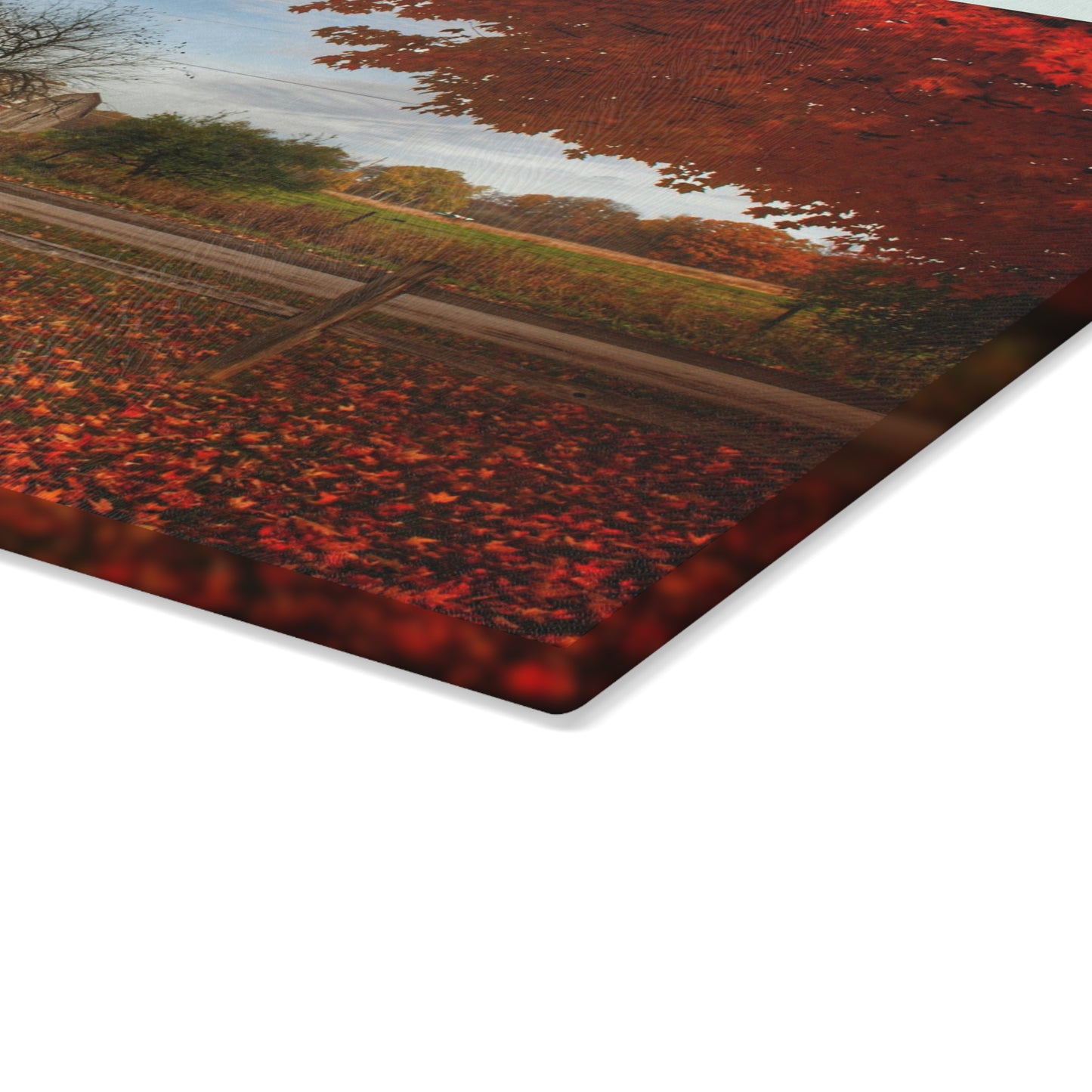 U R There Photography East Frances Road Hidden Grey II Rustic Farmhouse Tempered-Glass Cutting Board