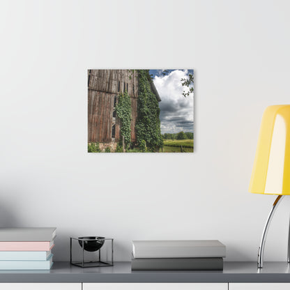 U R There Photography North Branch Ivy Grey II Rustic Farmhouse Acrylic Wall Print
