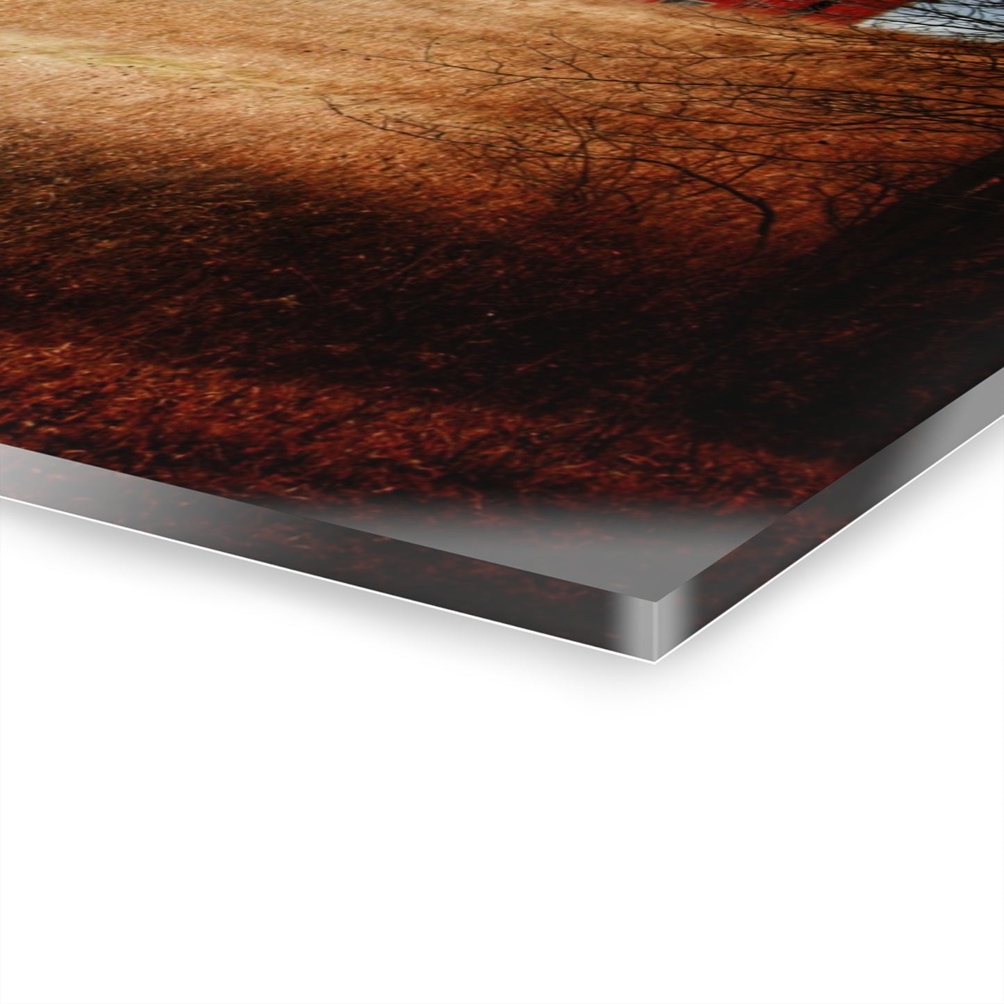 U R There Photography Grey Road Hillside Red II Rustic Farmhouse Acrylic Wall Print