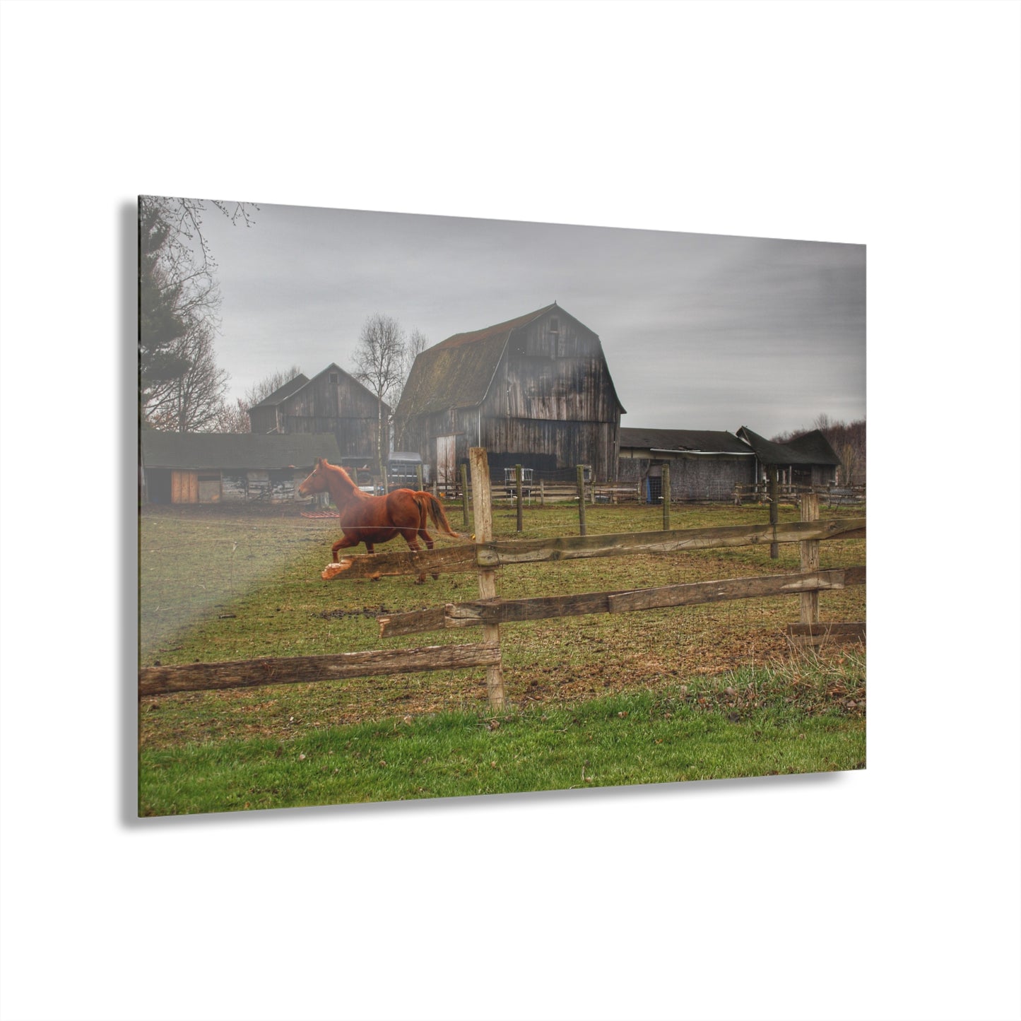 U R There Photography South Summers Road Old Grey and Caramel III Rustic Farmhouse Acrylic Wall Print