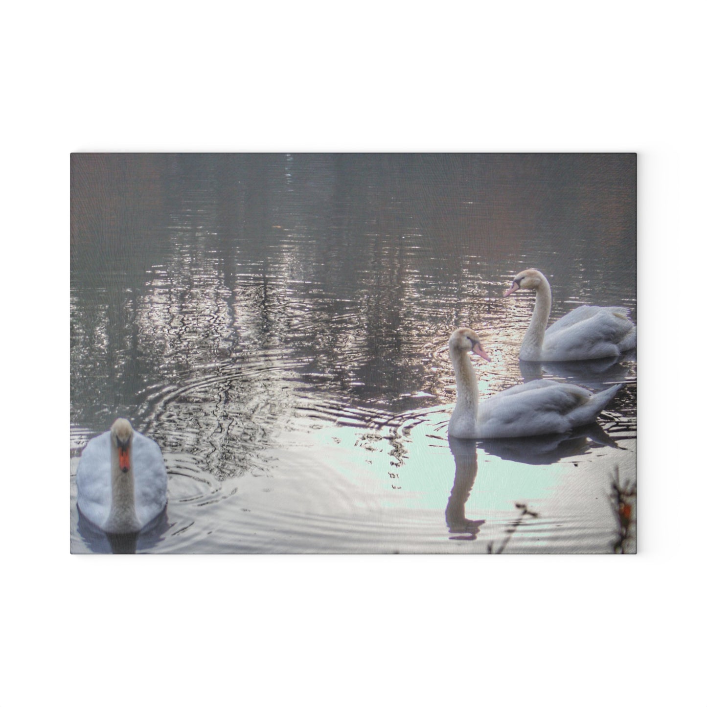 U R There Photography Swans of Duck Lake II Rustic Farmhouse Tempered-Glass Cutting Board