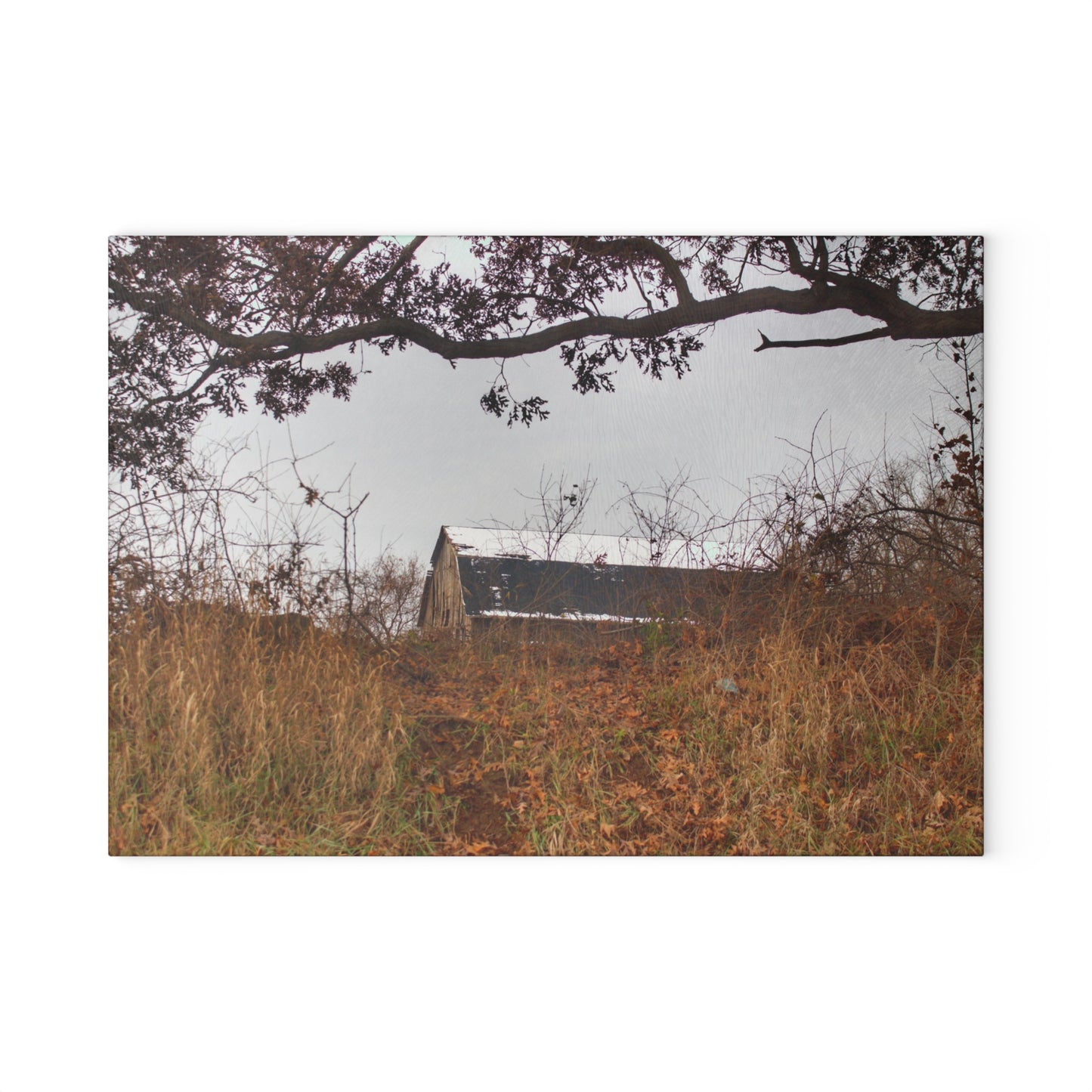 U R There Photography North Oxford Road Grey III Rustic Farmhouse Tempered-Glass Cutting Board