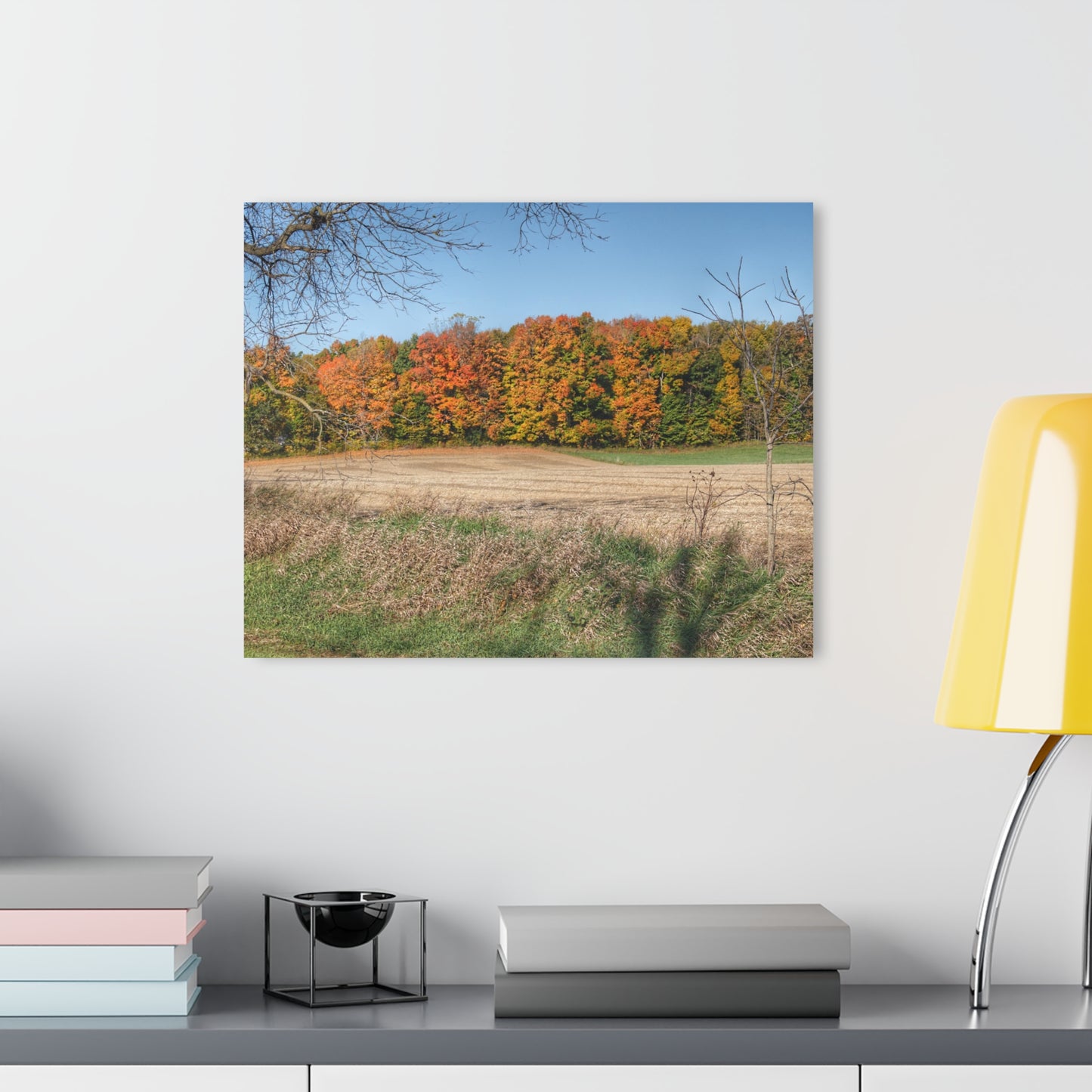 U R There Photography Fall on Piersonville Road Rustic Farmhouse Acrylic Wall Print