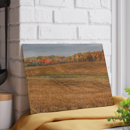 U R There Photography Colors of Fall on Lippincott Road Rustic Farmhouse Tempered-Glass Cutting Board