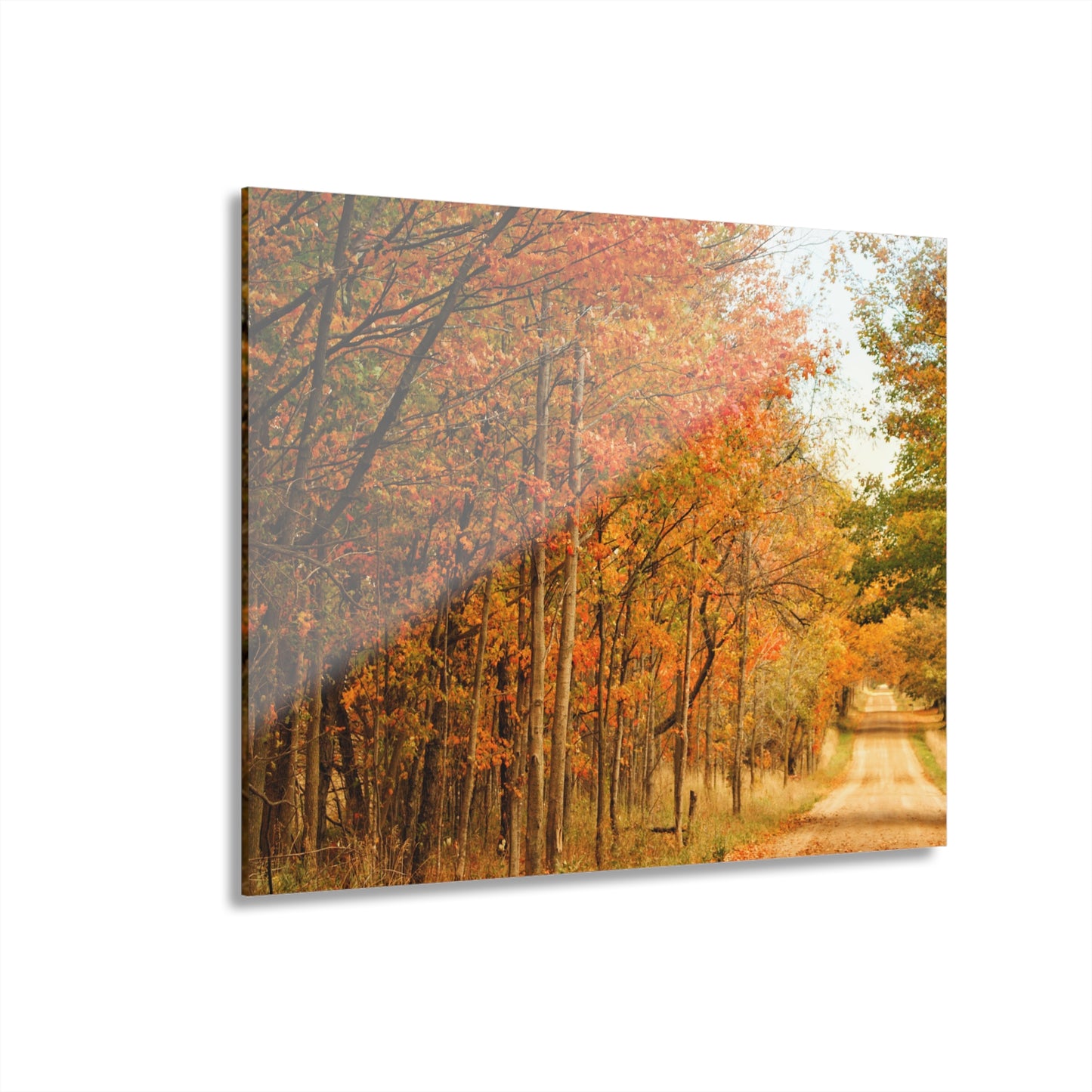 U R There Photography Fall on Murphy Lake II Rustic Farmhouse Acrylic Wall Print