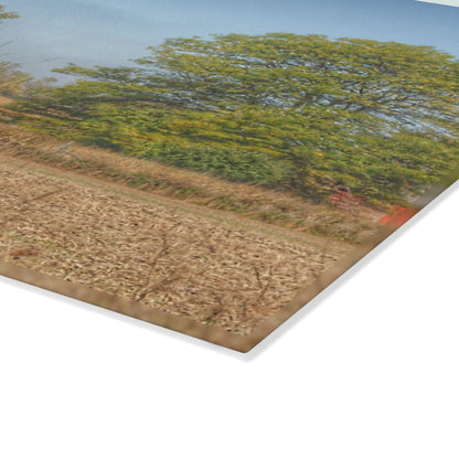 U R There Photography Brown City Wellman Line Road Little Red Rustic Farmhouse Tempered-Glass Cutting Board