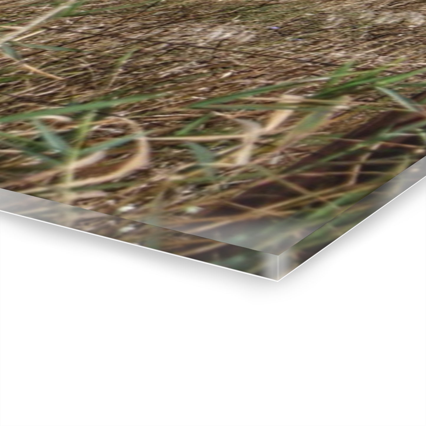 U R There Photography East Frances Road Hidden Grey I Rustic Farmhouse Acrylic Wall Print