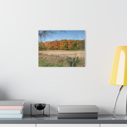 U R There Photography Fall on Piersonville Road Rustic Farmhouse Acrylic Wall Print