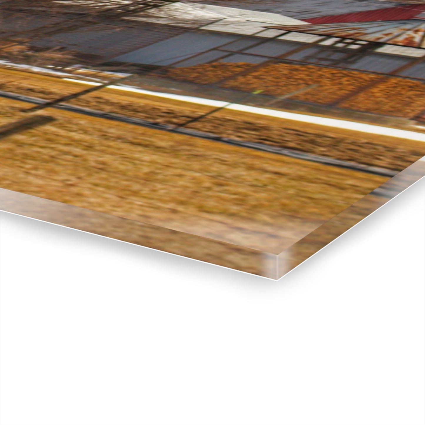 U R There Photography Hidden Red Rustic Farmhouse Acrylic Wall Print