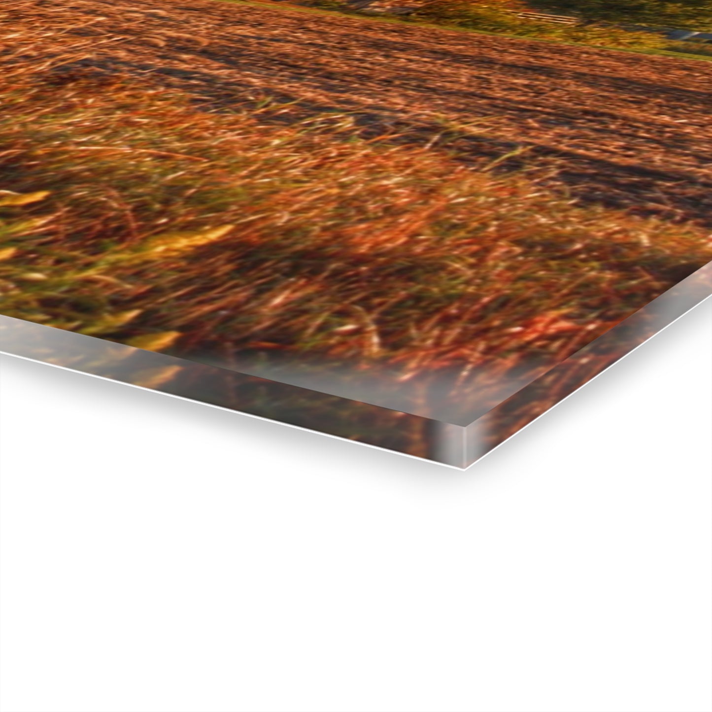 U R There Photography Lake Pleasant Road Grey Rustic Farmhouse Acrylic Wall Print