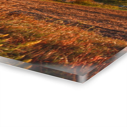 U R There Photography Lake Pleasant Road Grey Rustic Farmhouse Acrylic Wall Print