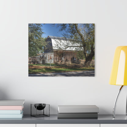 U R There Photography Birch Run Road Grey Rustic Farmhouse Acrylic Wall Print