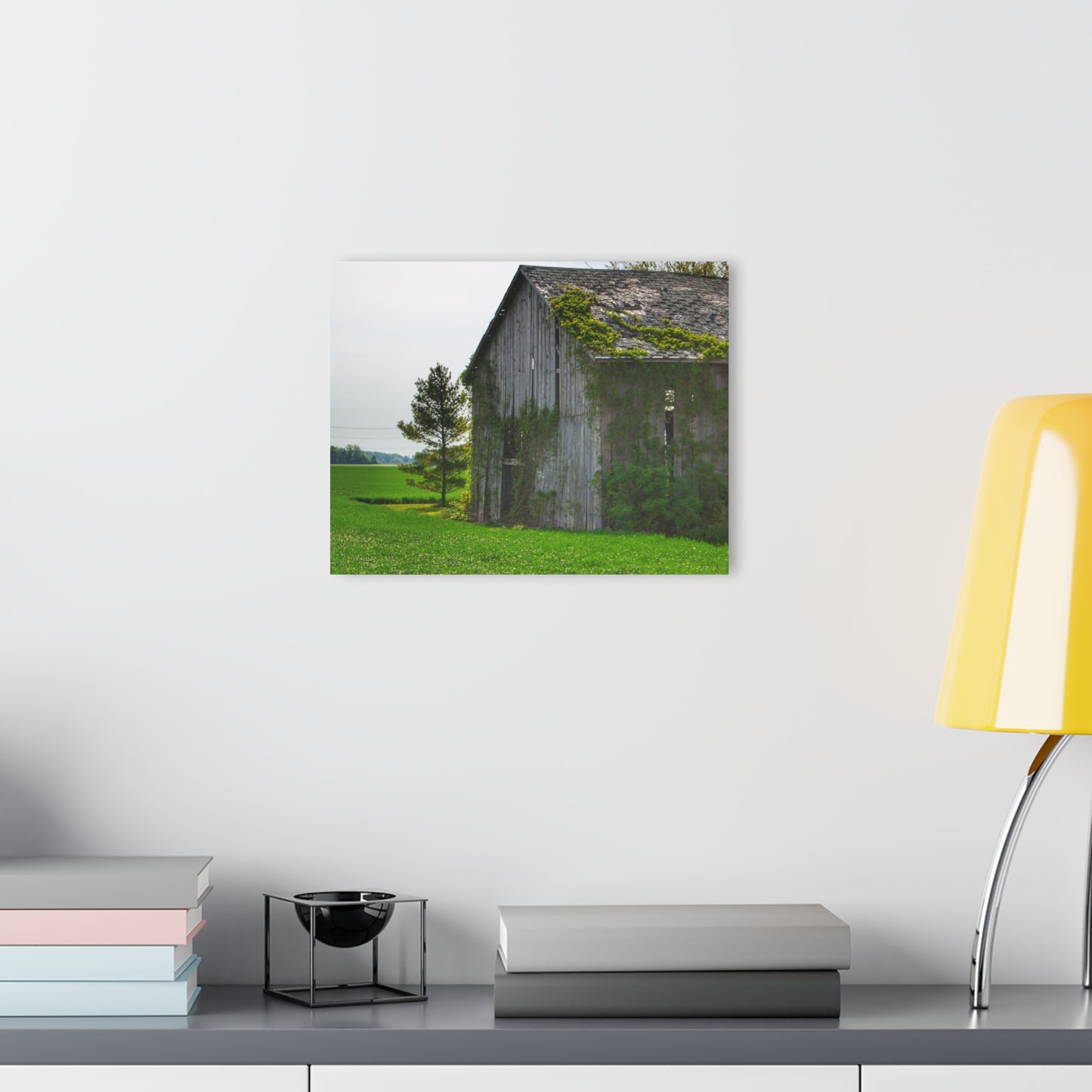 U R There Photography Caro Road Twin Grey I Rustic Farmhouse Acrylic Wall Print