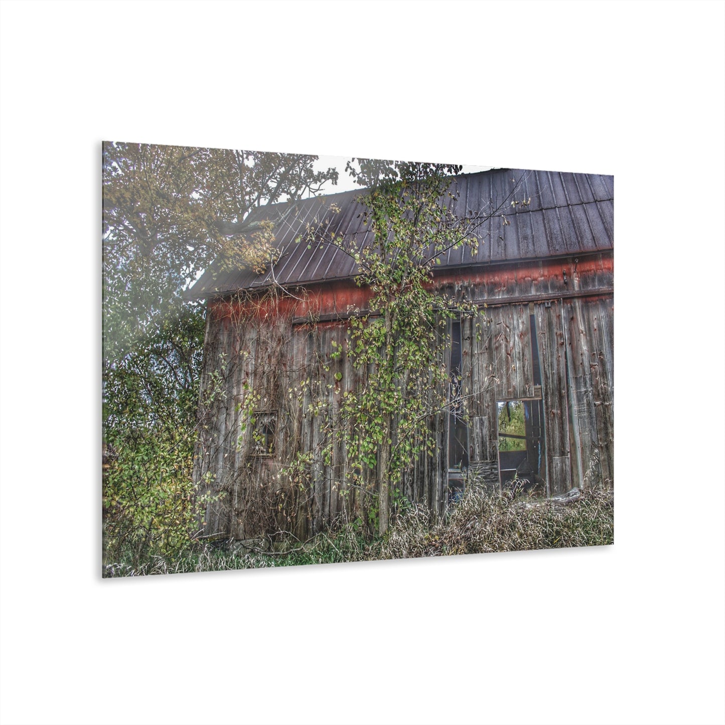 U R There Photography Annie's Barn II Rustic Farmhouse Acrylic Wall Print