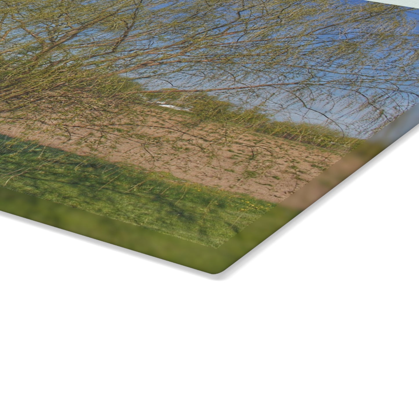 U R There Photography Spring Farm Willow Tree Rustic Farmhouse Tempered-Glass Cutting Board