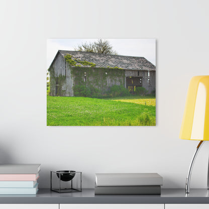 U R There Photography Caro Road Twin Grey II Rustic Farmhouse Acrylic Wall Print
