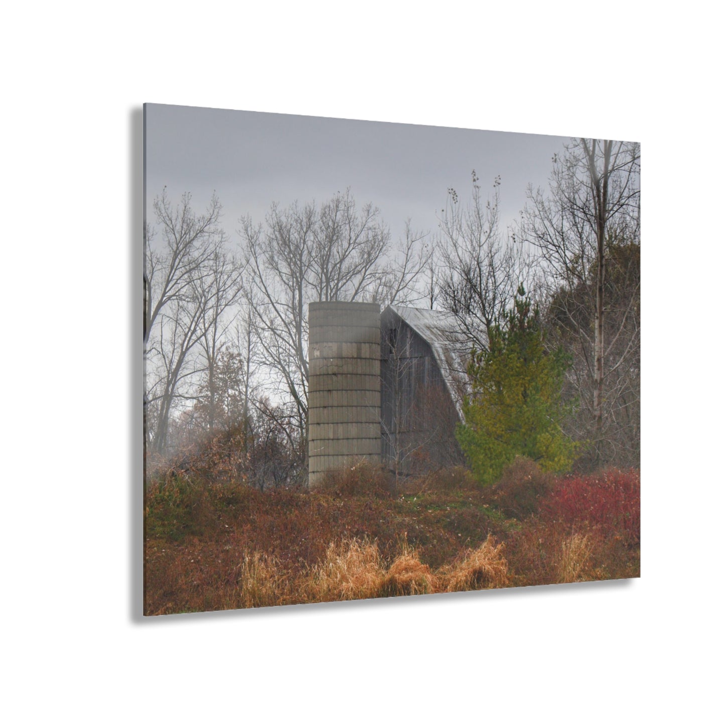 U R There Photography Freiberger Road Hidden Grey Rustic Farmhouse Acrylic Wall Print
