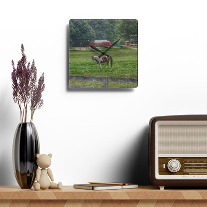 U R There Photography Painted Pony in Pasture Rustic Farmhouse Acrylic Analog Wall Clock