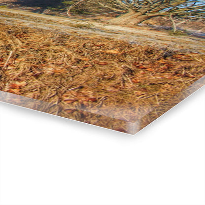 U R There Photography M-24 Barn at the Bend II Rustic Farmhouse Acrylic Wall Print