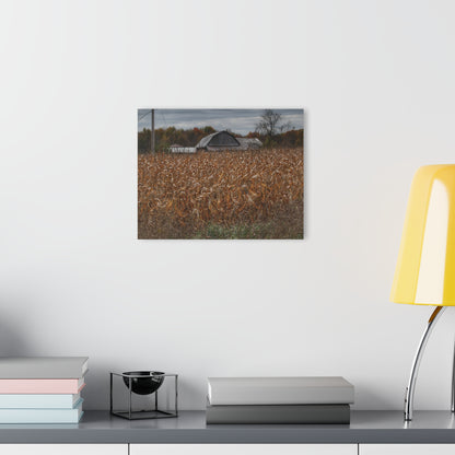U R There Photography North State Road Grey Rustic Farmhouse Acrylic Wall Print
