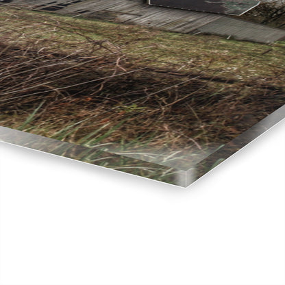 U R There Photography Green Road Grey Rustic Farmhouse Acrylic Wall Print