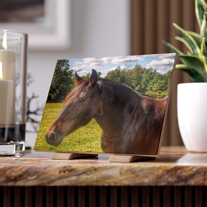 U R There Photography Brown Beauty I Rustic Farmhouse Decorative Ceramic Tile 6" × 8" Glossy