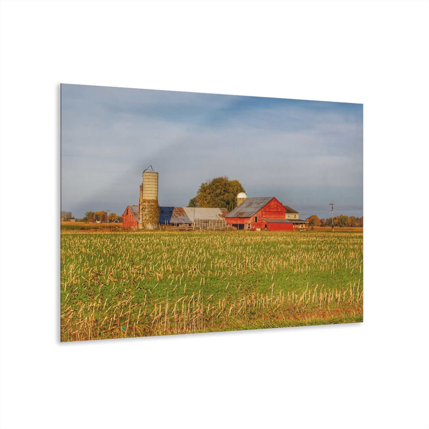 U R There Photography Maple Valley Farm Rustic Farmhouse Acrylic Wall Print