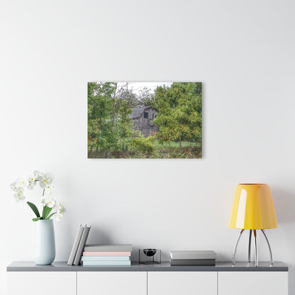 U R There Photography Hayes Road Hidden I Rustic Farmhouse Acrylic Wall Print