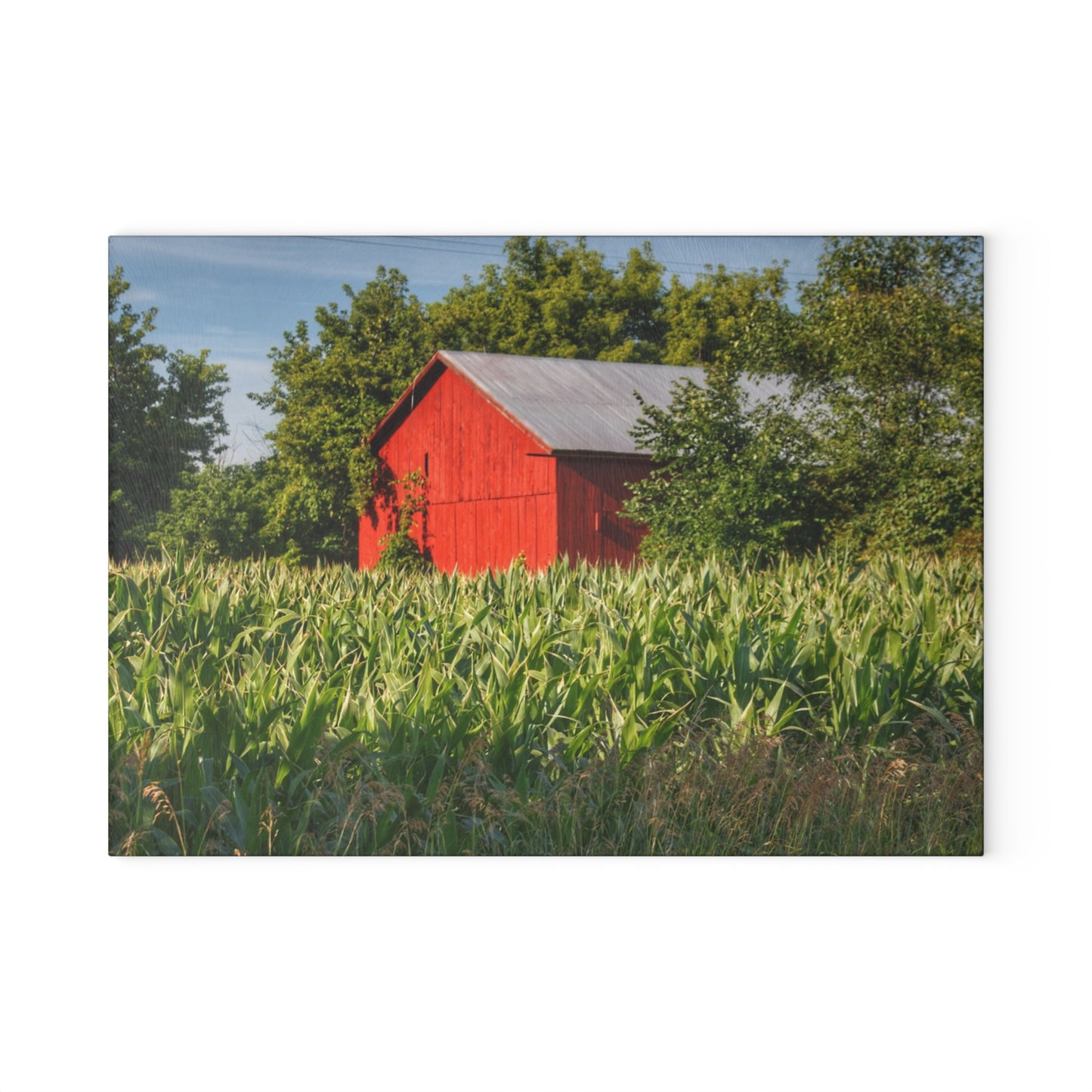 U R There Photography Willard Road Red III Rustic Farmhouse Tempered-Glass Cutting Board