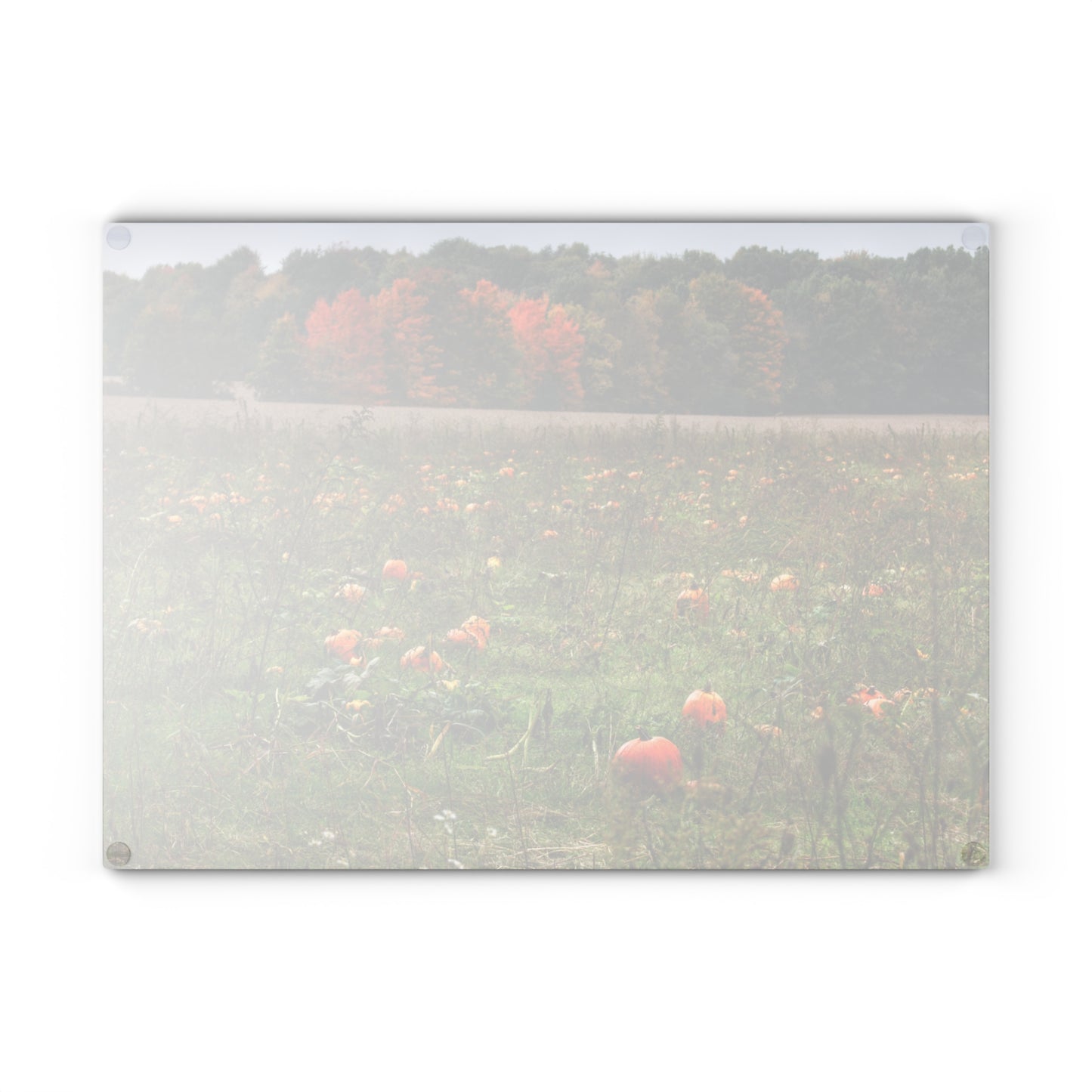 U R There Photography Once Upon a Time in a Pumpkin Patch Rustic Farmhouse Tempered-Glass Cutting Board
