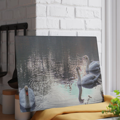 U R There Photography Swans of Duck Lake II Rustic Farmhouse Tempered-Glass Cutting Board