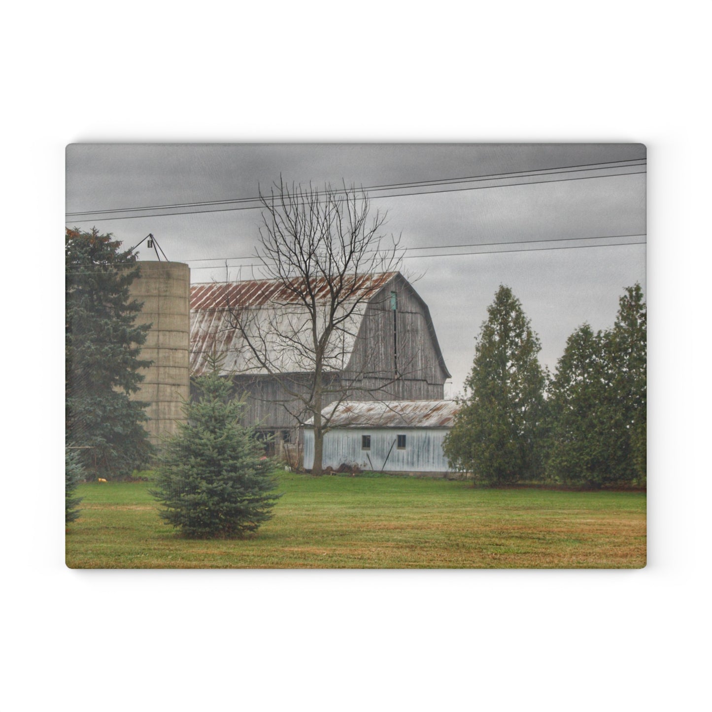U R There Photography Eddy Road Grey I Rustic Farmhouse Tempered-Glass Cutting Board