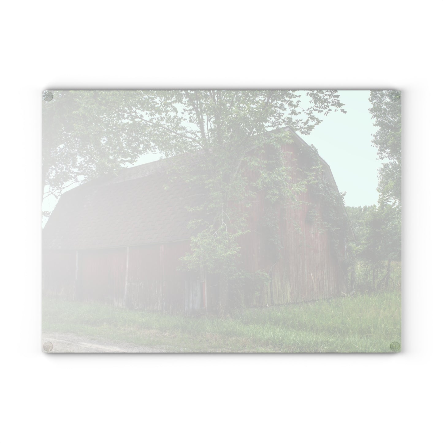 U R There Photography West Murphy Lake Red Rustic Farmhouse Tempered-Glass Cutting Board