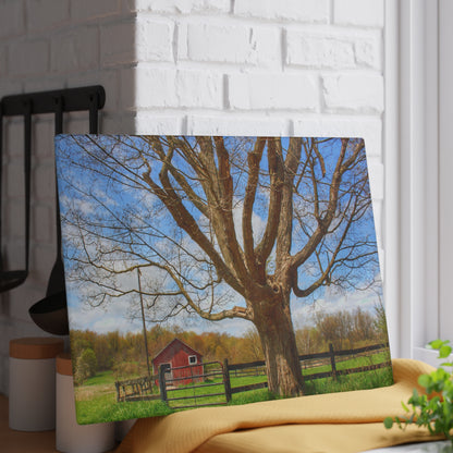 U R There Photography Delano Oak and Little Red Rustic Farmhouse Tempered-Glass Cutting Board