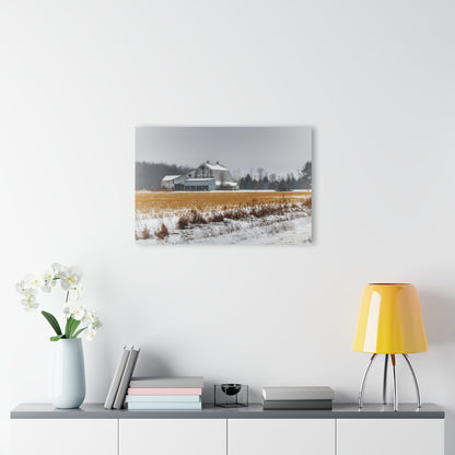 U R There Photography Argyle Road Grey Rustic Farmhouse Acrylic Wall Print