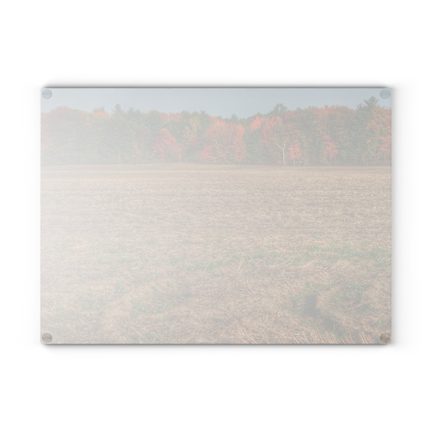 U R There Photography Fall on Murphy Lake III Rustic Farmhouse Tempered-Glass Cutting Board