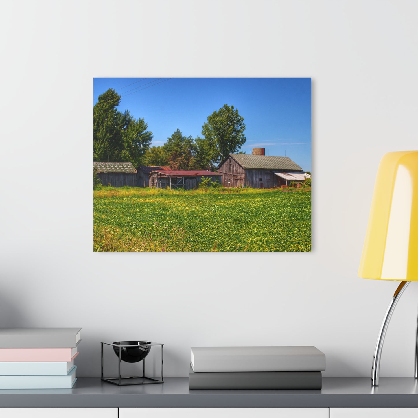 U R There Photography Birch Run Road Greys I Rustic Farmhouse Acrylic Wall Print