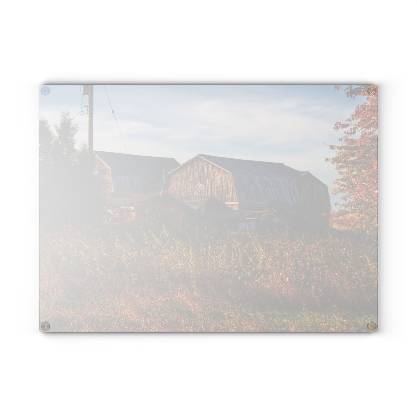U R There Photography Montgomery Road Reds Rustic Farmhouse Tempered-Glass Cutting Board