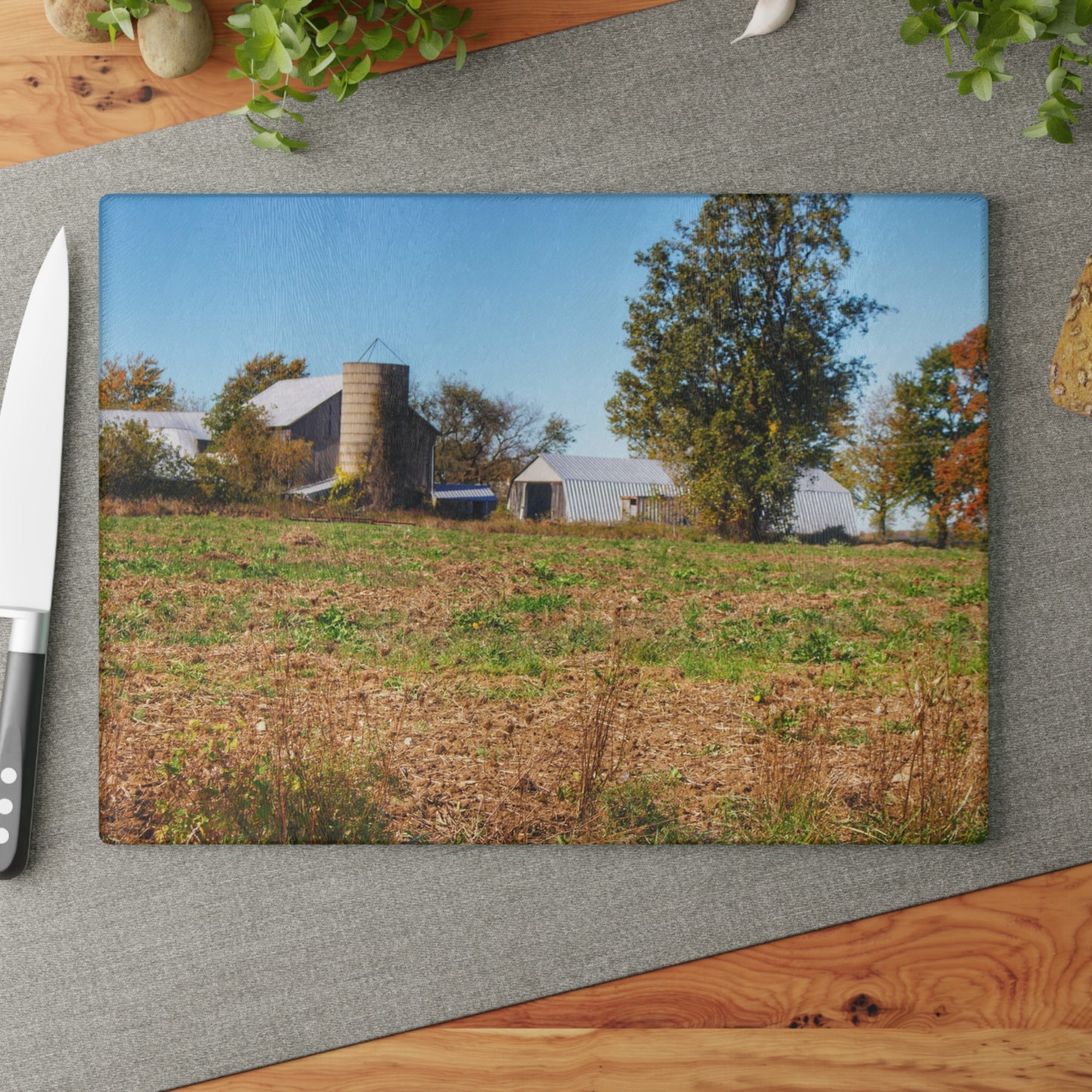 U R There Photography Freiberger Road Greys Rustic Farmhouse Tempered-Glass Cutting Board