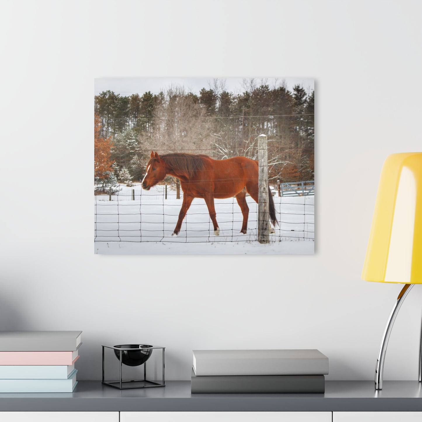 U R There Photography Roadside Chestnut Rustic Farmhouse Acrylic Wall Print