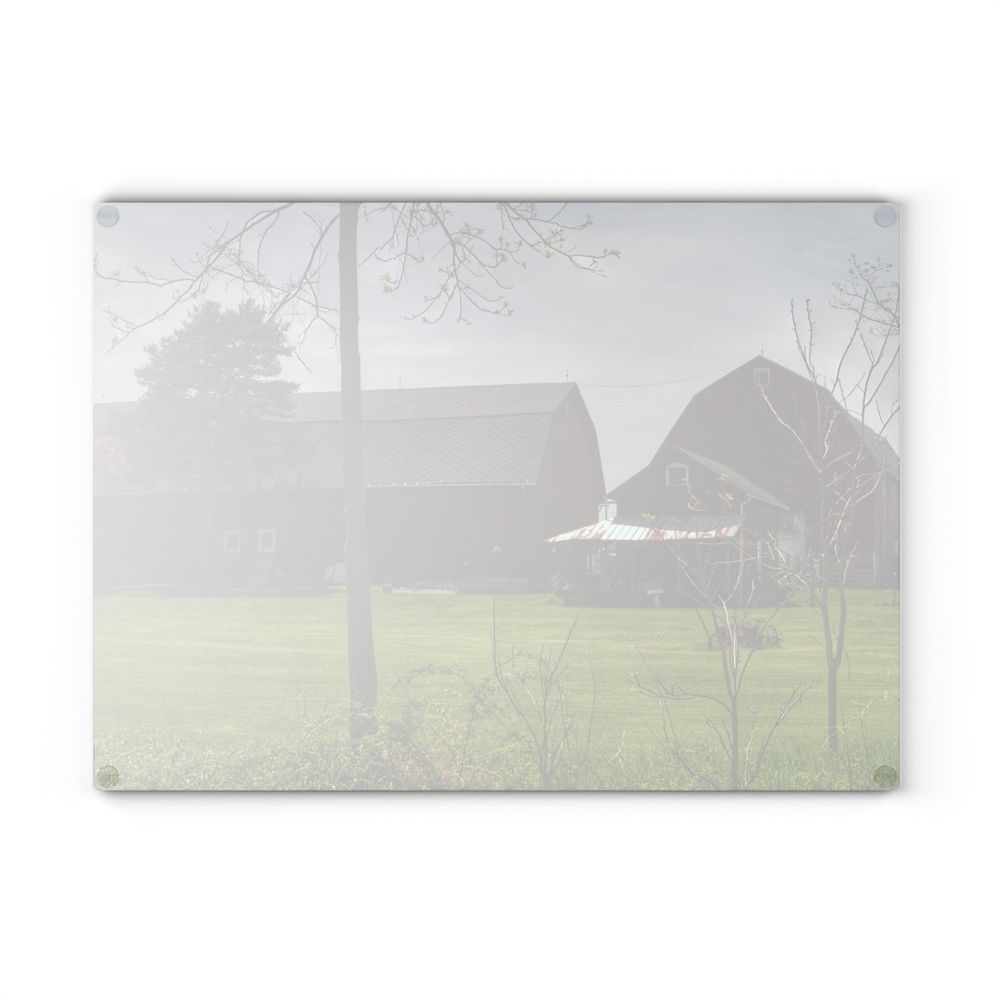 U R There Photography Bishop Road Reds I Rustic Farmhouse Tempered-Glass Cutting Board 8"x 11"