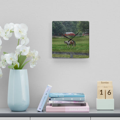 U R There Photography Painted Pony in Pasture Rustic Farmhouse Acrylic Analog Wall Clock