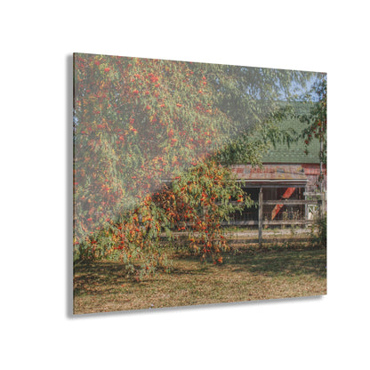 U R There Photography Farrand Road Red Coral by Flowering Tree Rustic Farmhouse Acrylic Wall Print