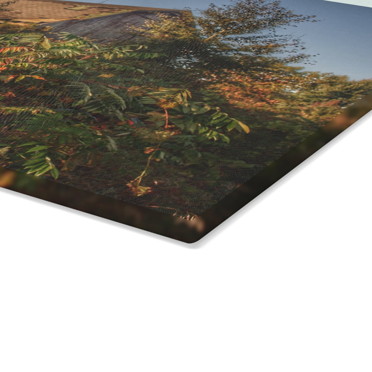 U R There Photography Hidden on Bearanger Road Rustic Farmhouse Tempered-Glass Cutting Board