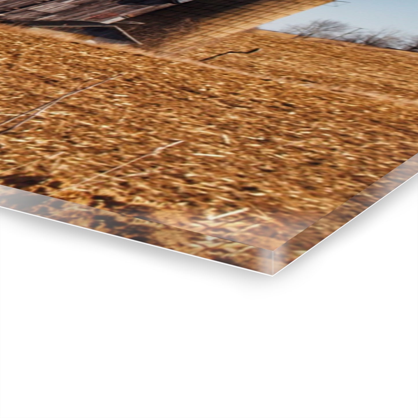 U R There Photography Hurds Corner Grey Rustic Farmhouse Acrylic Wall Print