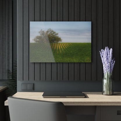 U R There Photography Tree Overlooking Farm Field Rustic Farmhouse Acrylic Wall Print