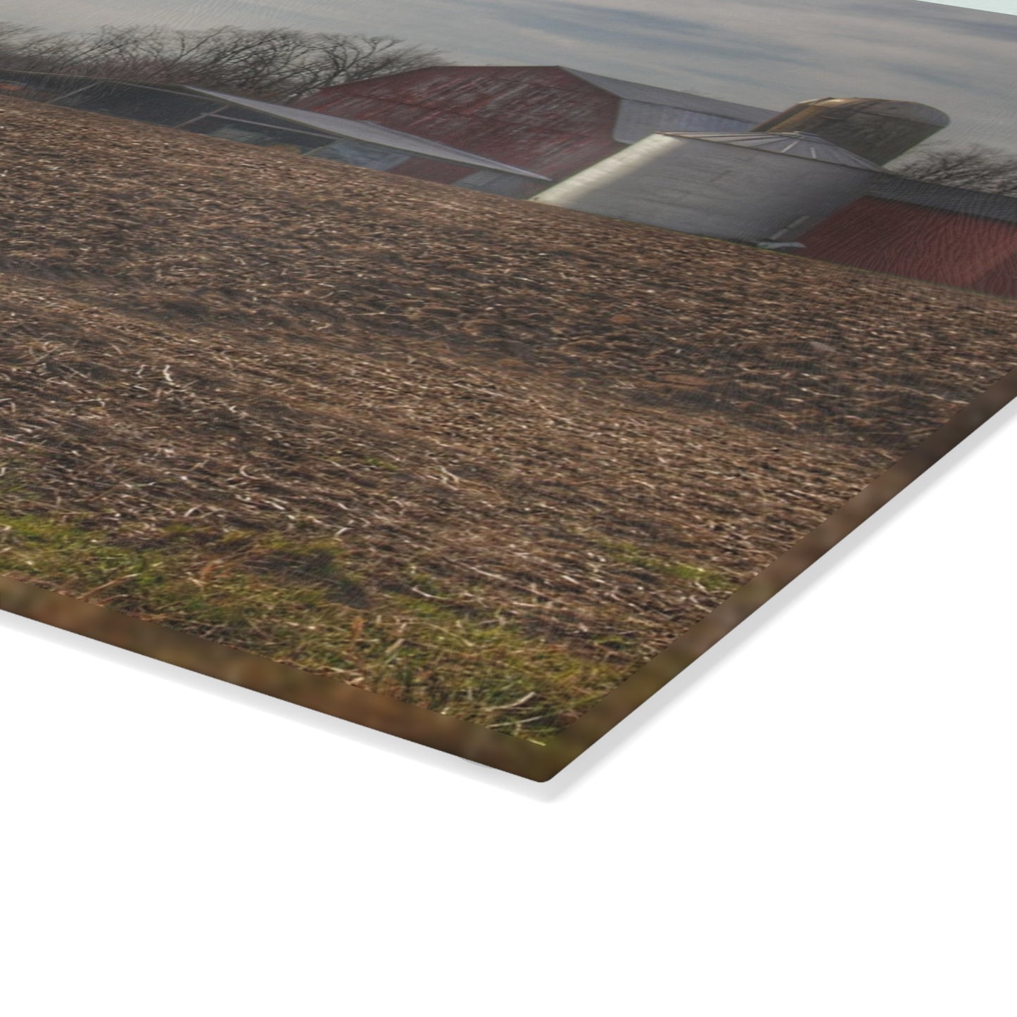 U R There Photography Cumber Road Red II Rustic Farmhouse Tempered-Glass Cutting Board