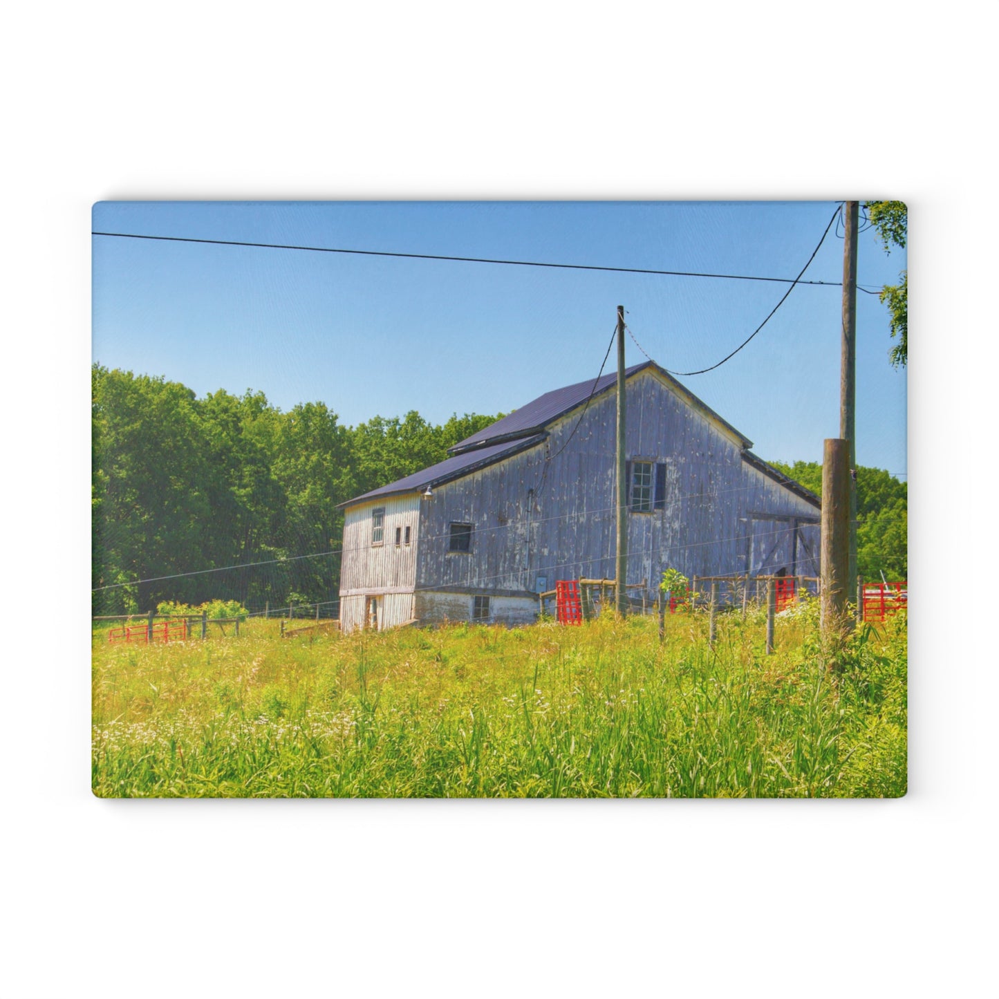 U R There Photography Greenwood Road Whitewash Grey Rustic Farmhouse Tempered-Glass Cutting Board