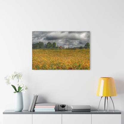 U R There Photography Golden Fields Farm Rustic Farmhouse Acrylic Wall Print